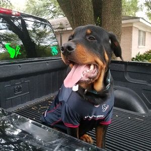 Meet your Posher, Justin